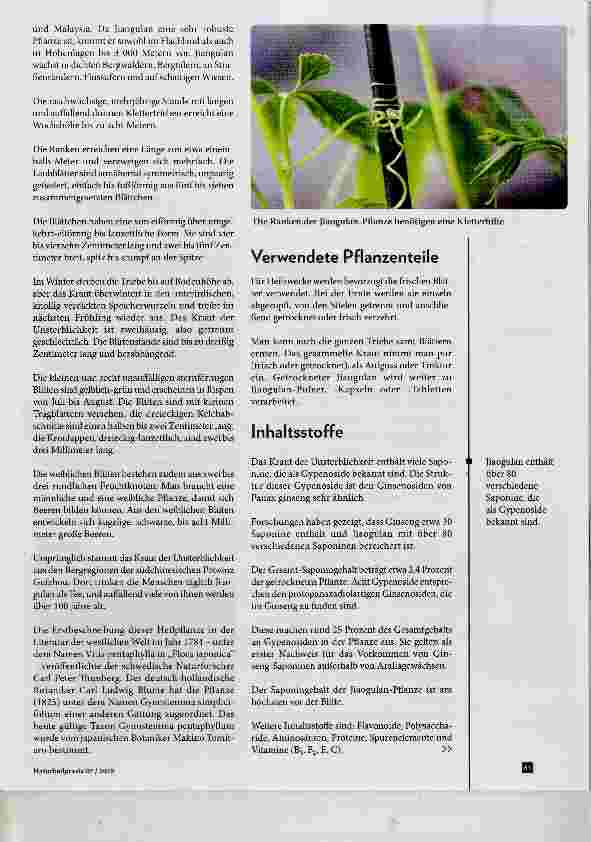 Vorschauseite 2: Jiaogulan