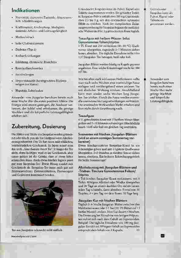 Vorschauseite 4: Jiaogulan