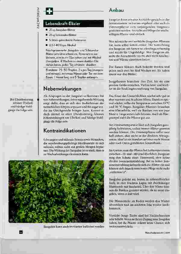 Vorschauseite 5: Jiaogulan