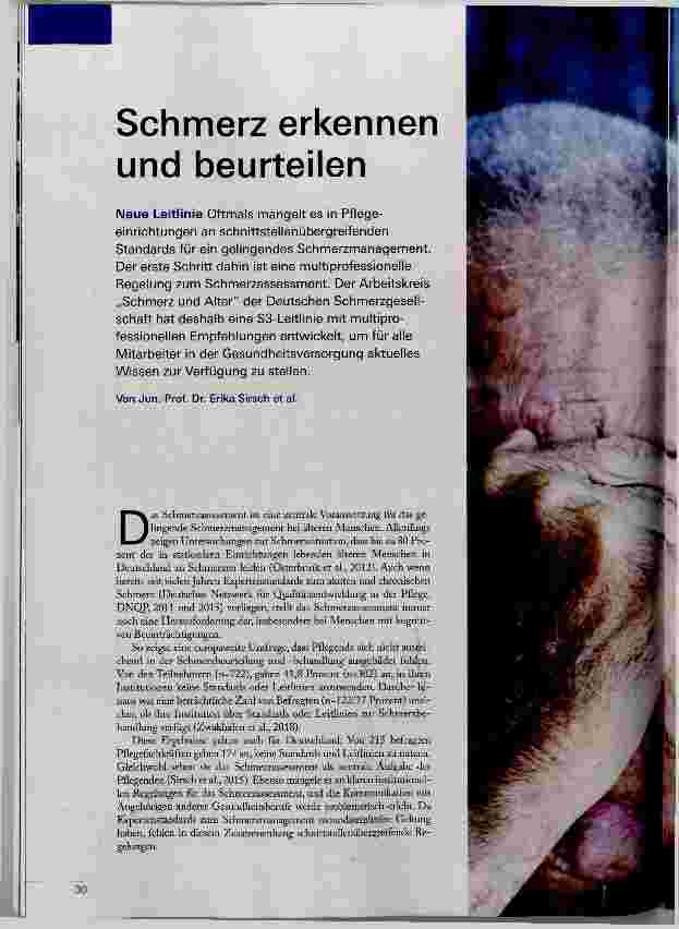 Vorschauseite 1: Schmerz erkennen und beurteilen
