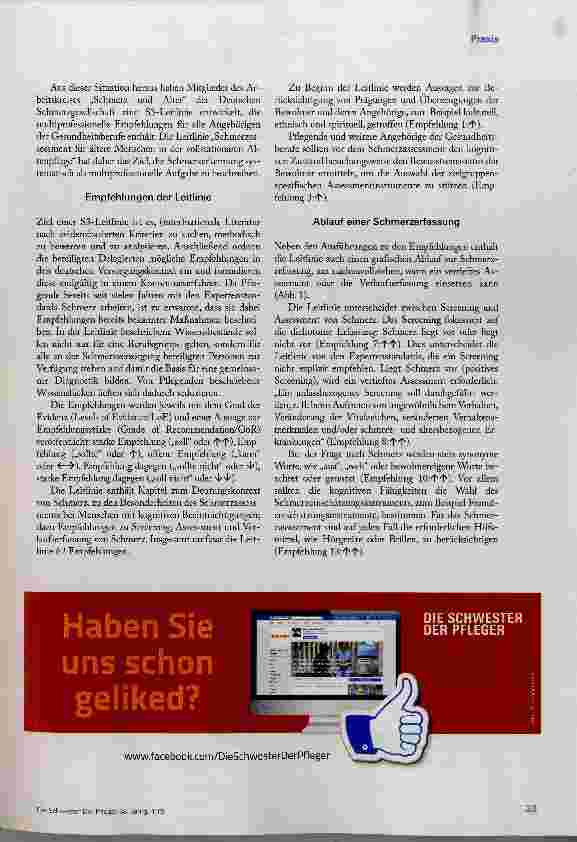 Vorschauseite 4: Schmerz erkennen und beurteilen