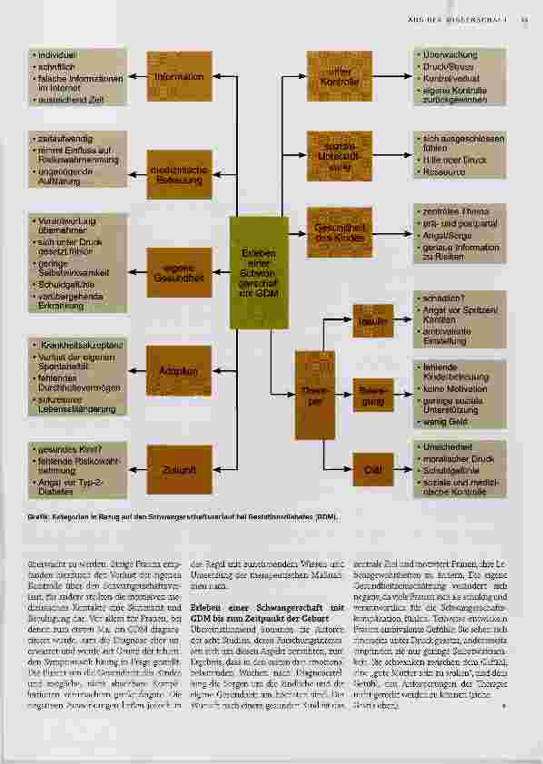 Vorschauseite 2: Erleben des Gestationsdiabetes