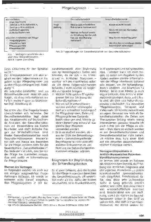 Vorschauseite 3: Die Bedeutung von Pflegediagnosen in Gesundheitsökonomie und Gesundheitsstatistik
