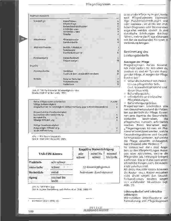 Vorschauseite 6: Die Bedeutung von Pflegediagnosen in Gesundheitsökonomie und Gesundheitsstatistik