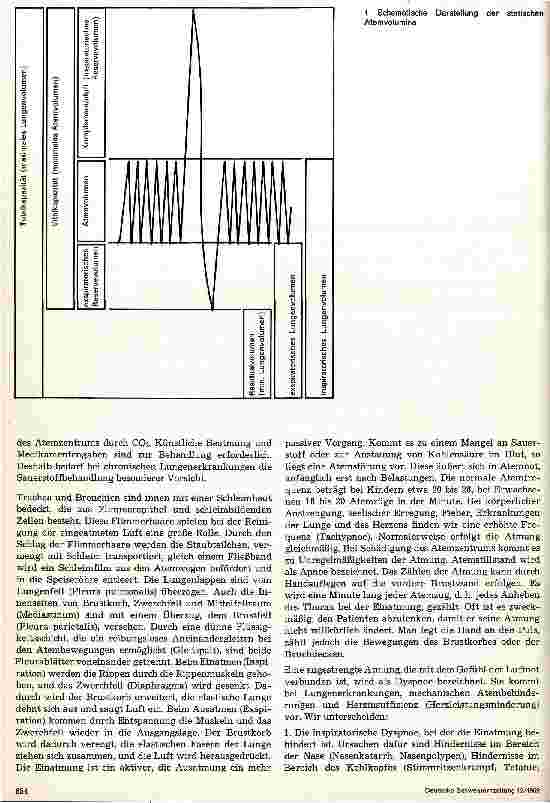 Vorschauseite 2: Krankheiten der Atmungsorgane und des Mediastinums