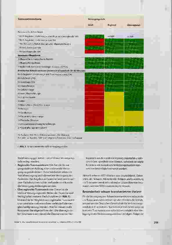 Vorschauseite 5: Die herausfordernde Versorgung von schwer verletzten und polytraumatisierten Patienten