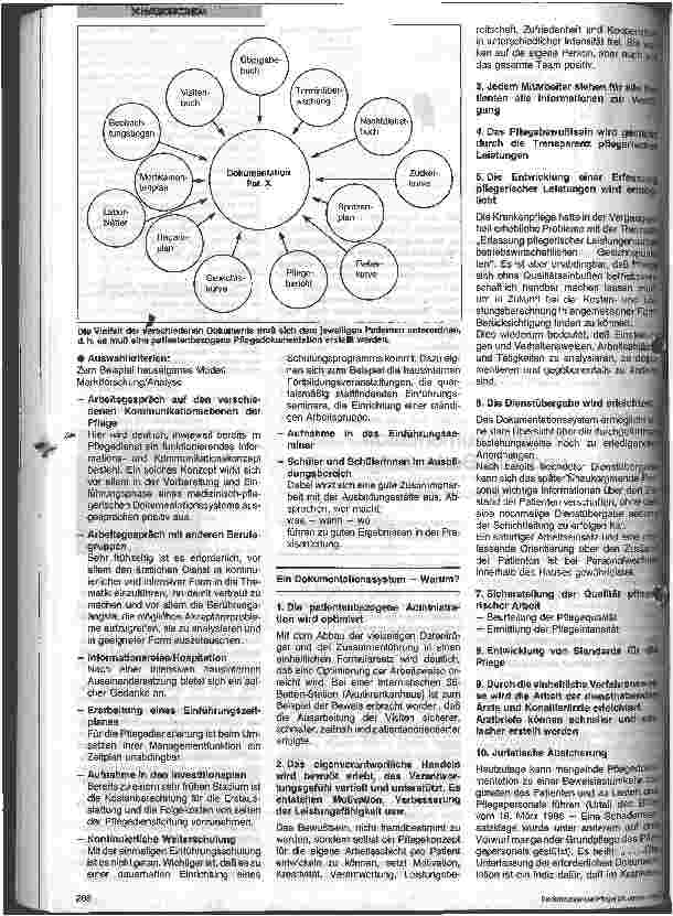 Vorschauseite 2: Pflegedokumentation und ihre Bedeutung