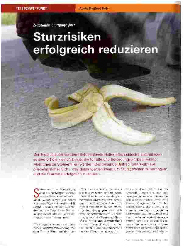 Vorschauseite 1: Sturzrisiken erfolgreich reduzieren