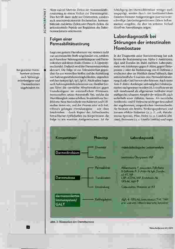 Vorschauseite 3: Die Bedeutung der Darmbarriere bei Nahrungsmittelallergien