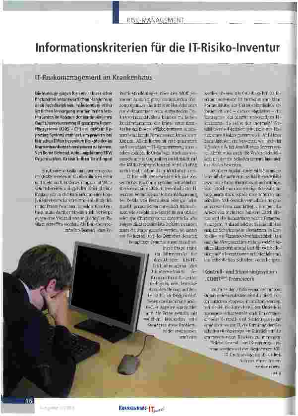 Vorschauseite 1: Informationskriterien für die IT-Risiko-Inventur