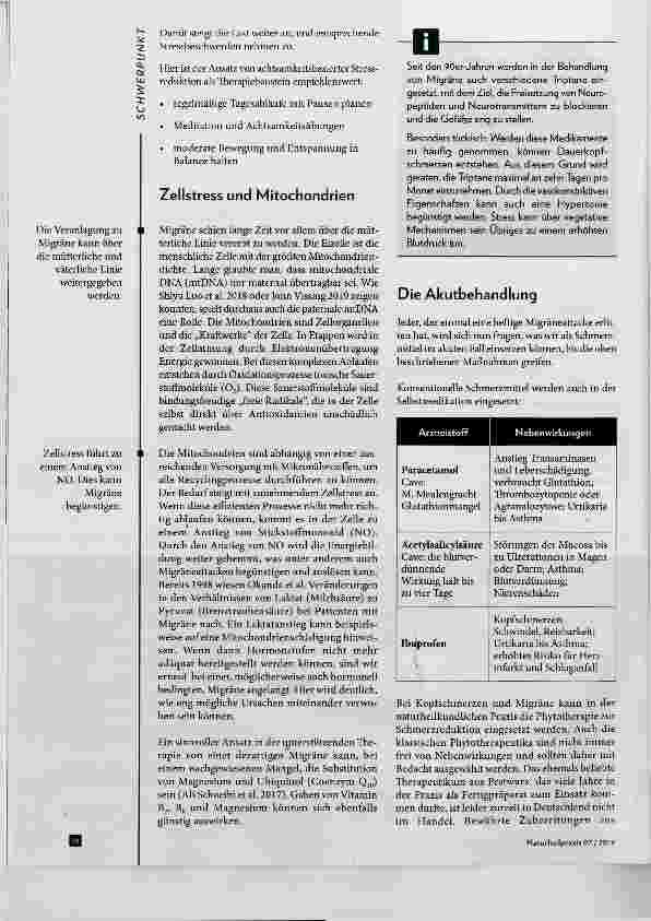 Vorschauseite 5: Migräne