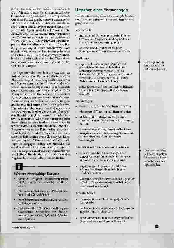 Vorschauseite 2: Eisenmangel - mit und ohne Anämie