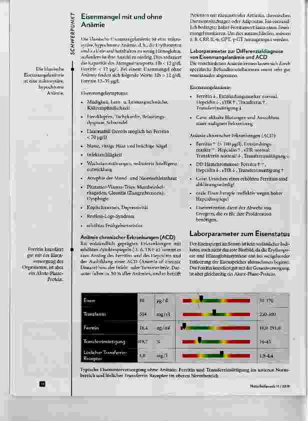 Vorschauseite 3: Eisenmangel - mit und ohne Anämie