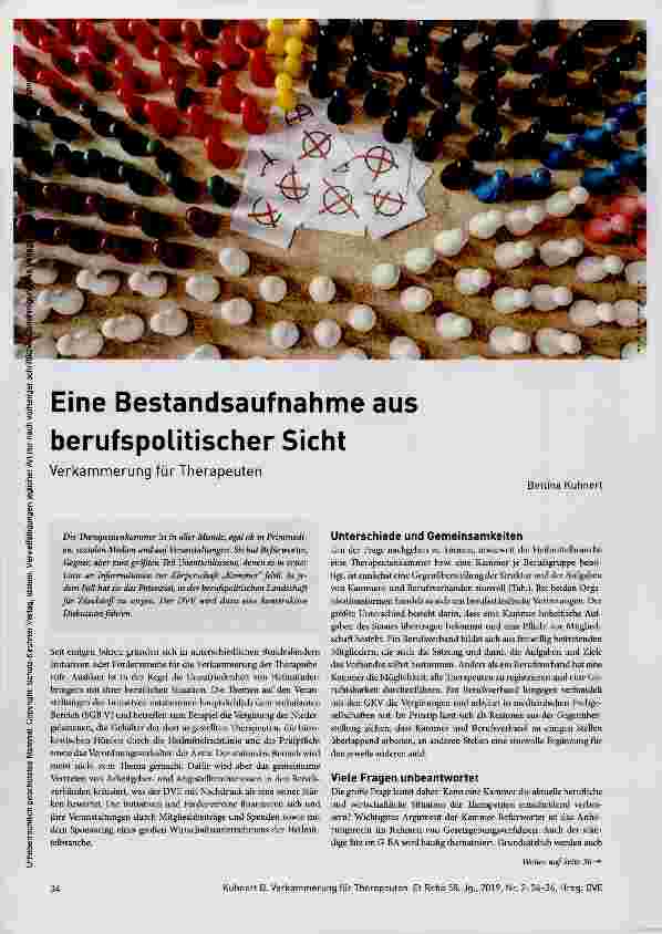 Vorschauseite 1: Eine Bestandsaufnahme aus berufspolitischer Sicht