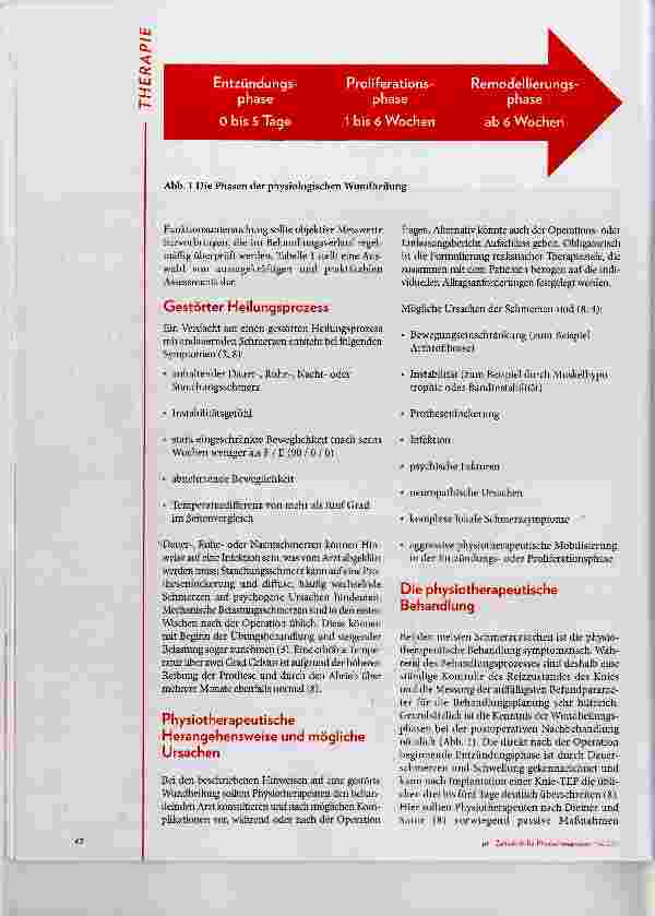 Vorschauseite 3: Die schmerzhafte Knie-TEP