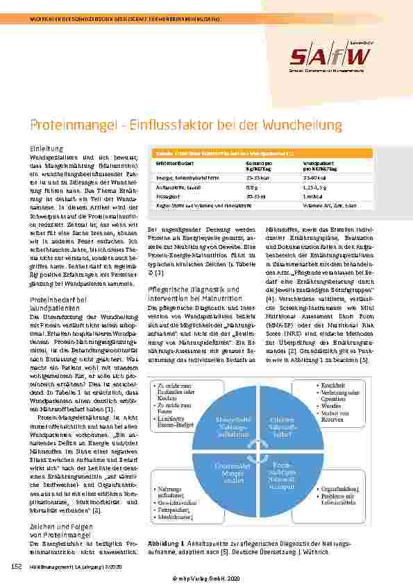 Vorschauseite 1: Proteinmangel – Einflussfaktor bei der Wundheilung