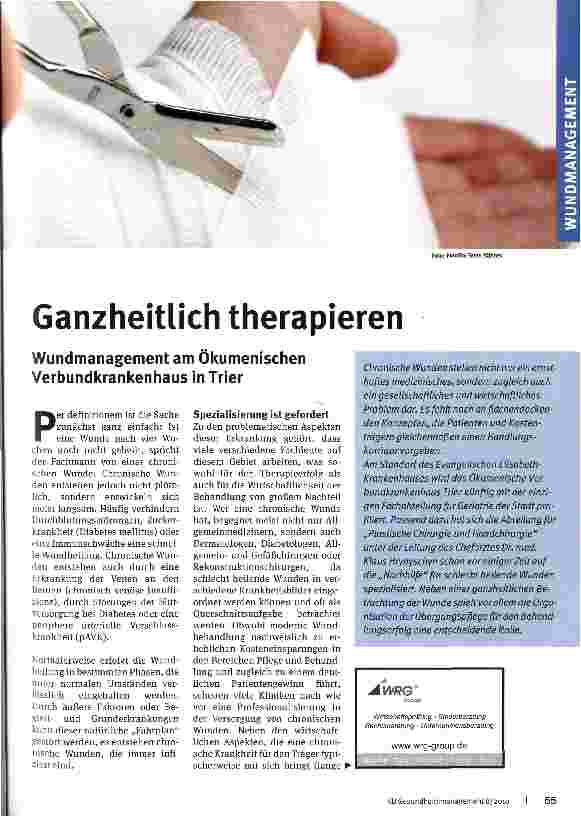 Vorschauseite 1: Ganzheitlich therapieren