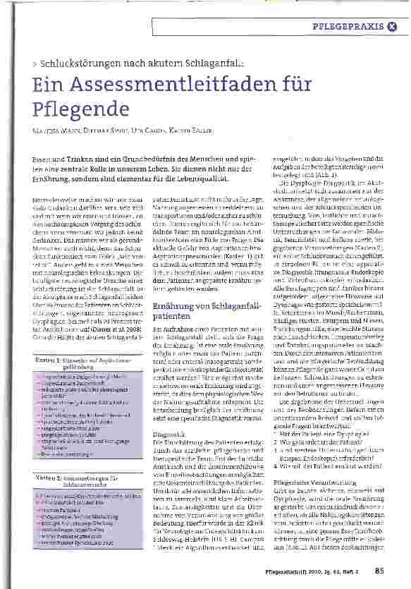 Vorschauseite 1: Ein Assessmentleitfaden für Pflegende