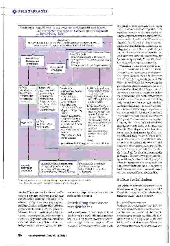Vorschauseite 2: Ein Assessmentleitfaden für Pflegende