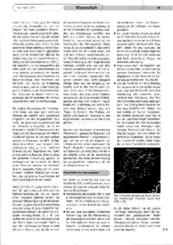 Vorschauseite 2: Entstehung neuer Synapsen: Wichtige Grundlage für die Reha
