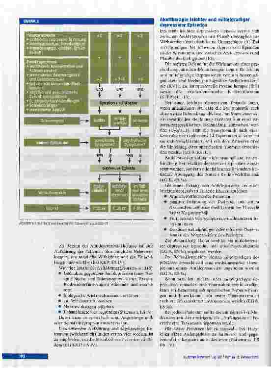 Vorschauseite 3: Unipolare Depression