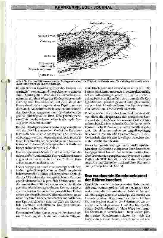 Vorschauseite 4: Physiologisches und pathologisches Skelettwachstum des Menschen