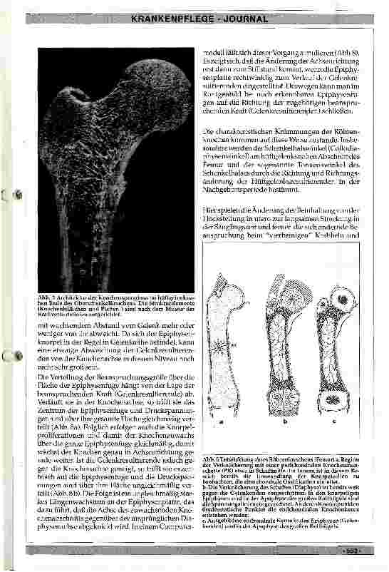 Vorschauseite 6: Physiologisches und pathologisches Skelettwachstum des Menschen