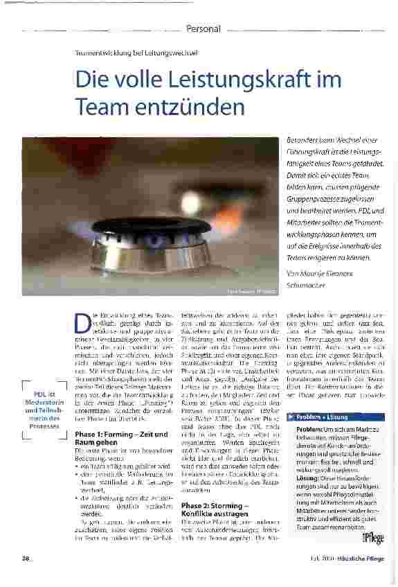 Vorschauseite 1: Die volle Leistungskraft im Team entzünden