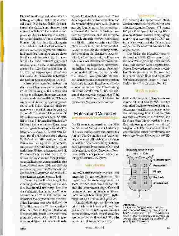 Vorschauseite 2: Wirkung verschiedener Wundspüllösungen auf MRSA-Biofilme in Wunden im Tiermodell (Schwein)