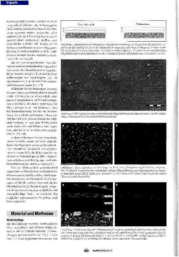Vorschauseite 3: Untersuchungen zur antimikrobiellen Wirkung photokatalytisch aktiver Oberflächen