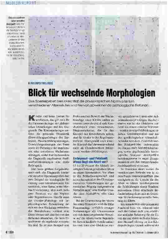 Vorschauseite 1: Blick für wechselnde Morphologien