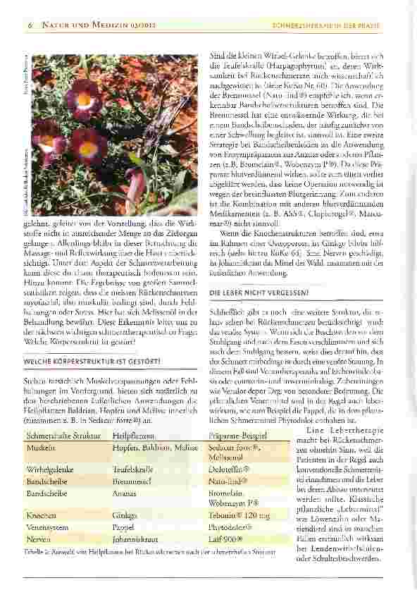 Vorschauseite 4: Schmerztherapie in der Praxis: Pflanzenheilkunde bei Rückenschmerzen
