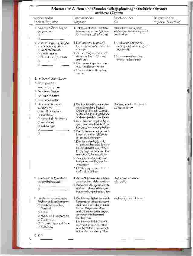 Vorschauseite 2: Pflegeprozeß - 2. Folge: Standardund individuelle Pflegeplanung