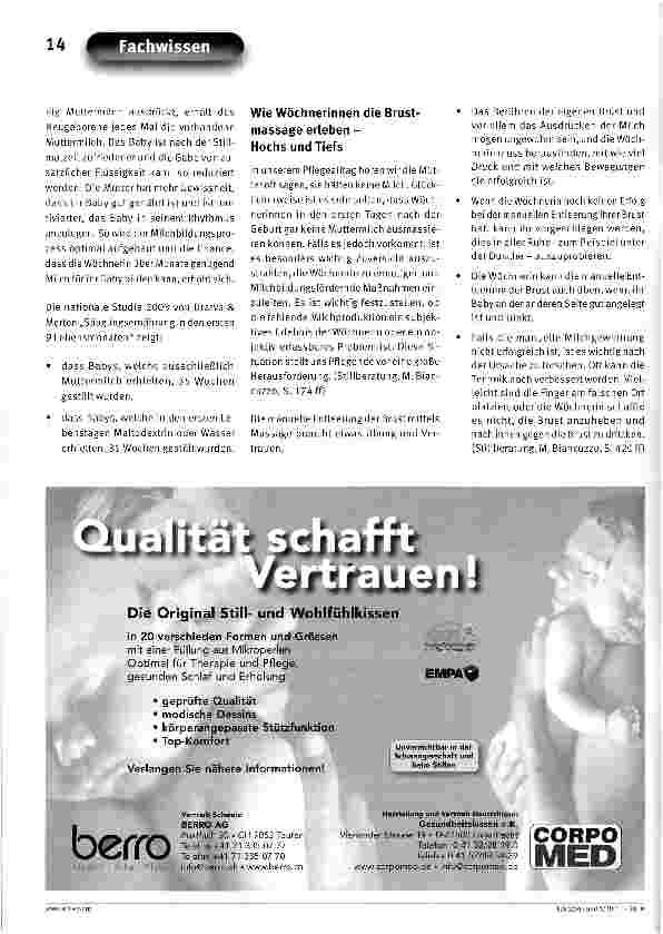 Vorschauseite 3: Der Einfluss der Brustmassage und der manuellen Milchgewinnung im Wochenbett auf das Stillerleben der Wöchnerinnen