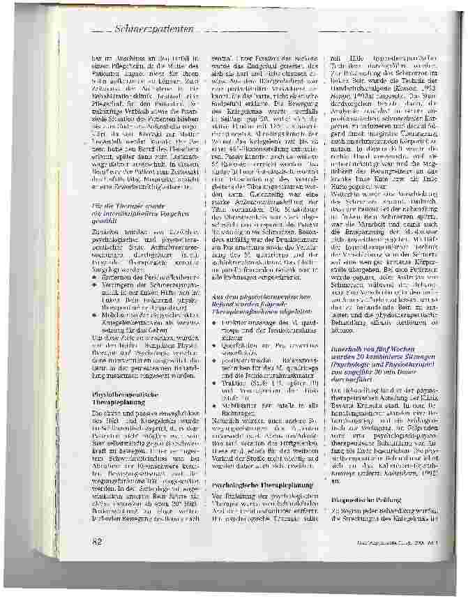 Vorschauseite 3: Die Zusammenarbeit von Physiotherapie und Psychologie bei Schmerzpatienten -Eine Fallstudie