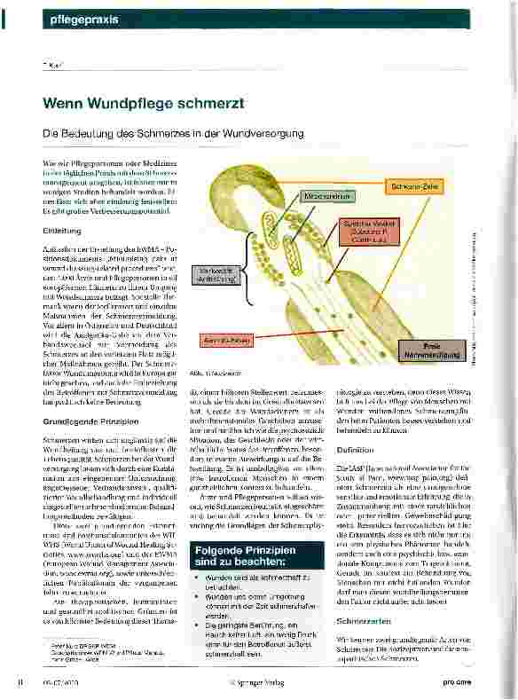 Vorschauseite 1: Wenn Wundpflege schmerzt
