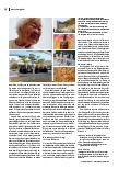 Vorschauseite 3: House of Sharing - ein besonderes Altenheimprojekt in Südkorea