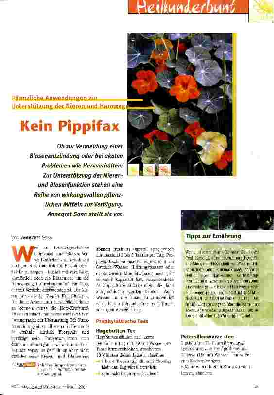 Vorschauseite 1: Kein Pippifax