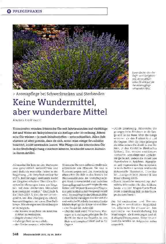 Vorschauseite 1: Keine Wundermittel, aber wunderbare Mittel