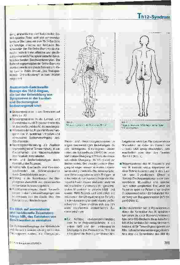 Vorschauseite 2: Lumbale Beschwerden - Das Th12-Syndrom und seine Behandlung mit weichen Techniken der Ortho-Bionomy®
