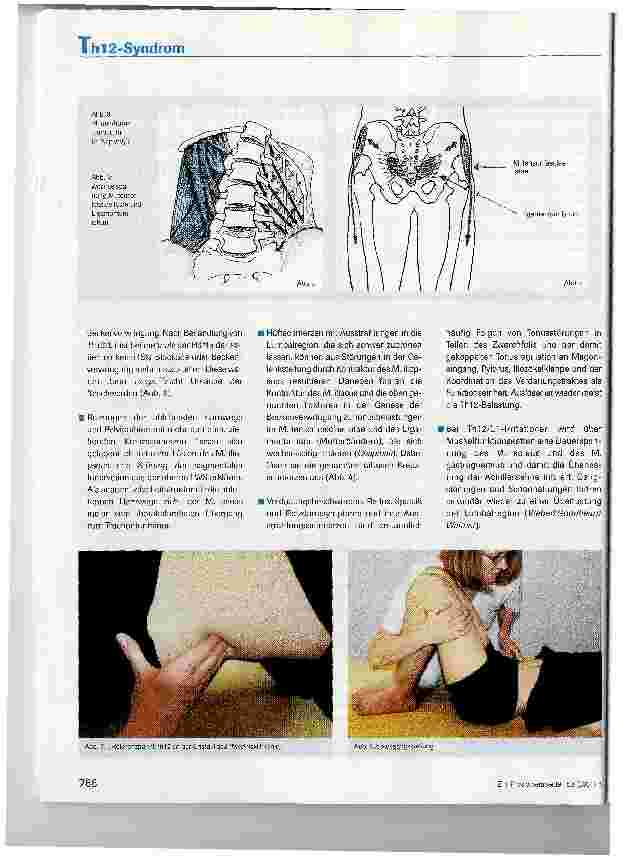 Vorschauseite 3: Lumbale Beschwerden - Das Th12-Syndrom und seine Behandlung mit weichen Techniken der Ortho-Bionomy®