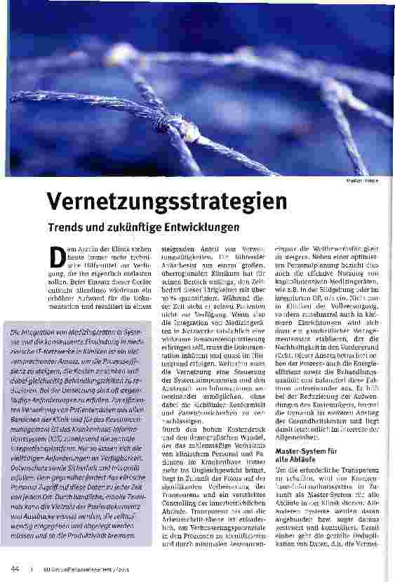 Vorschauseite 1: Vernetzungsstrategien