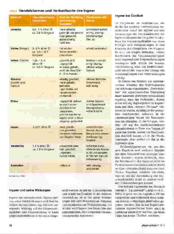 Vorschauseite 3: Komplementäre Pflege als ergänzende Maßnahme