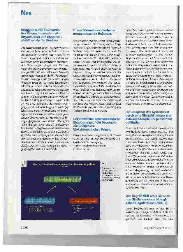 Vorschauseite 2: Das zentrale Funktionsprinzip des Nozizeptiven Somatomotorischen Blockierungseffekts (NSB) nach Brügger