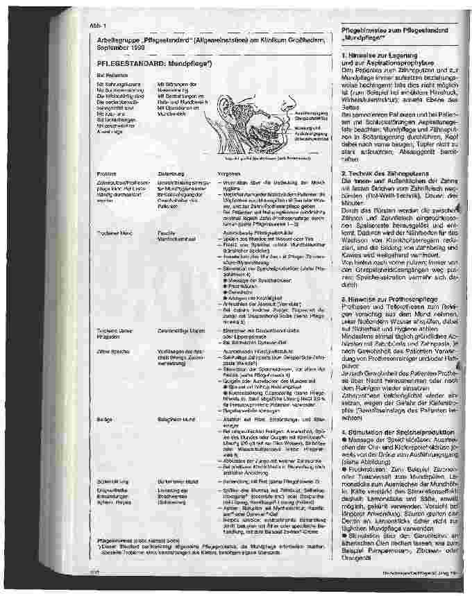 Vorschauseite 2: Zusammenspiel von Pflegedokumentation und Pflegestandard am Beispiel der Mundpflege