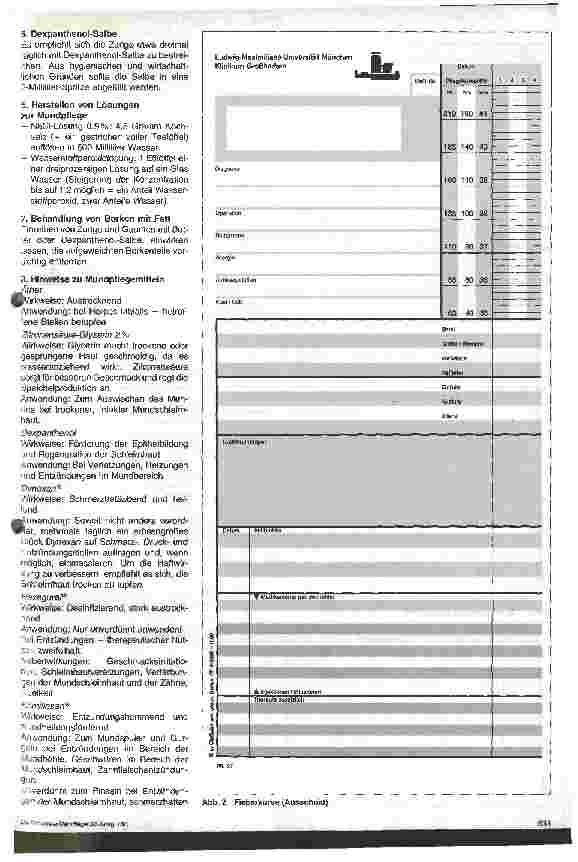 Vorschauseite 3: Zusammenspiel von Pflegedokumentation und Pflegestandard am Beispiel der Mundpflege