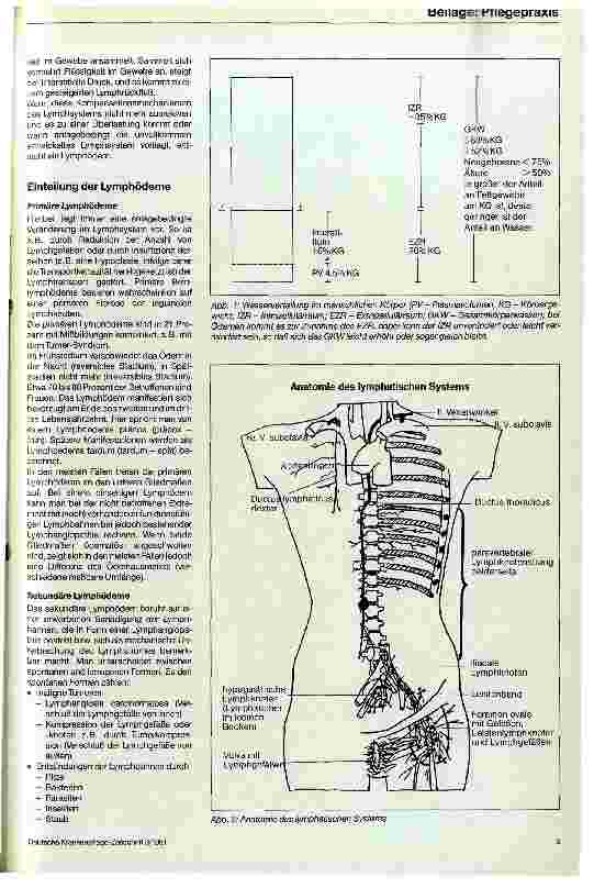 Vorschauseite 2: Das Lymphödem - Anleitungen zum richtigen Verhalten und pflegerische Maßnahmen bei latentem und klinisch manifestem Lymphödem