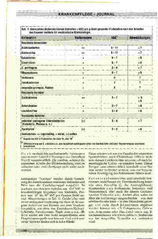 Vorschauseite 2: Der Einfluß von Antibiotica auf die Darmflora