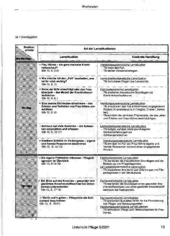 Vorschauseite 2: Wochenplan zur Lernsituation: Pflege und Krankheitserleben eines Menschen mit Bewegungseinschränkung - am Beispiel der chronischen Krankheit Osteoporose
