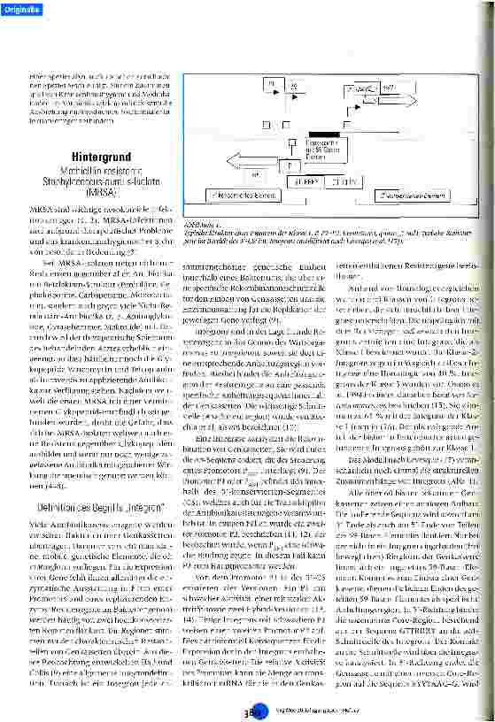 Vorschauseite 2: Einfluss von Hygiene-Maßnahmen auf die Prävalenz von MRSA sowie Klasse-1-Integrons in Enterobacteriaceae